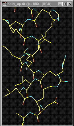 helices.gif (46879 bytes)